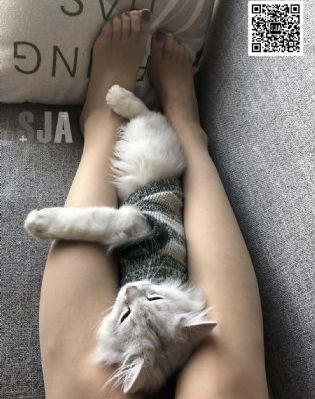 自拍视频在线_BD在线观看电视